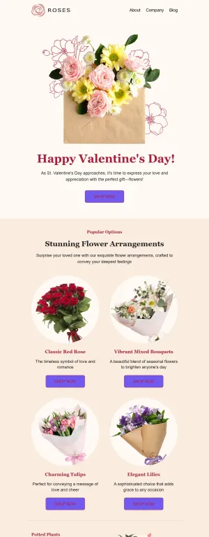 St. Valentine's Day template for the E-commerce industry