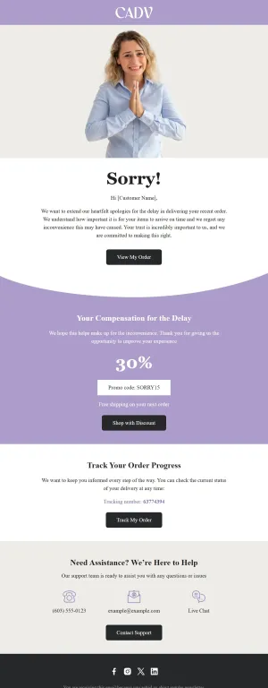 Apology email template for the E-commerce industry