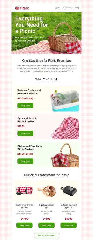 Promotional template for the E-commerce industry