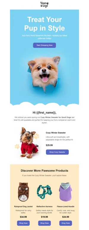 Follow-up email template for the E-commerce industry