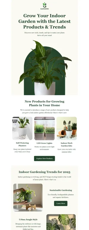 E-commerce newsletter template