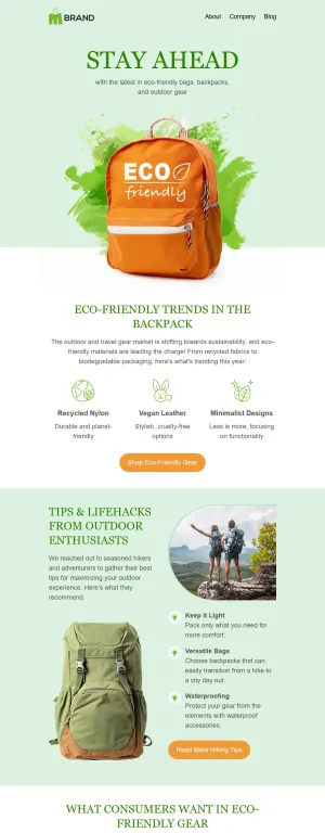 E-commerce newsletter template